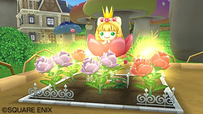 プク姫畑