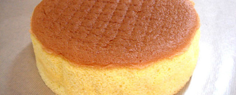 sponge01
