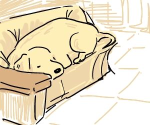 老犬2
