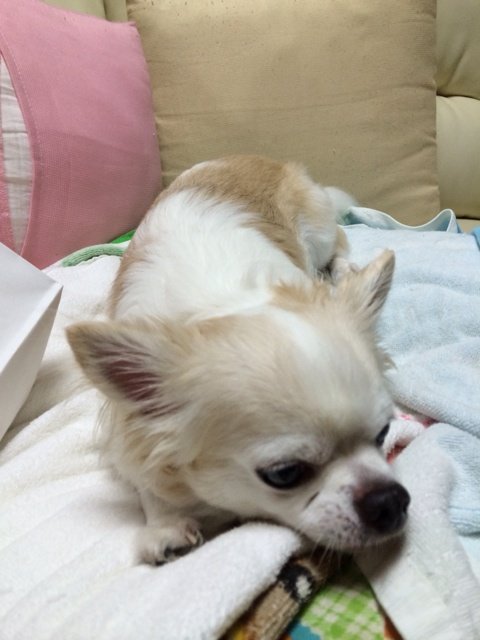 2014-09-08-18-18-39