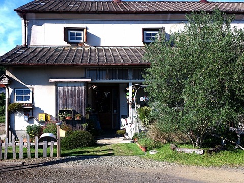 2013-09-29-08-49-15_deco