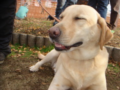 DSC04773