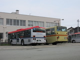 IMG_7900