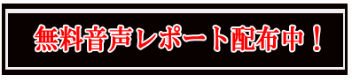 ヤースーさんの無料音声レポート