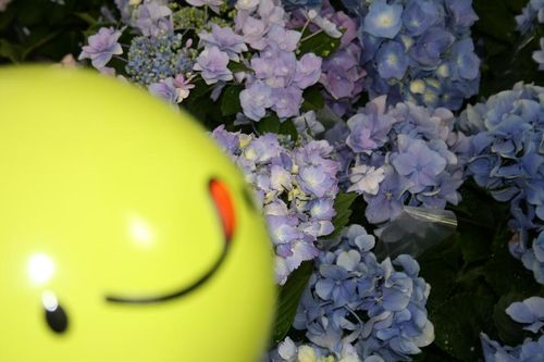 IMG_2056