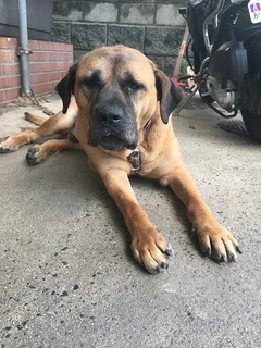 48159D99-B037-43BE-A5D2-FB4F392C38D7