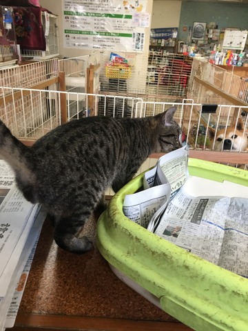 5E2CF01D-32FA-4692-A92E-4B3D8FD31675