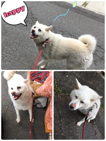 7B46EE77-0E8B-4E40-A9A9-2B51433AC416