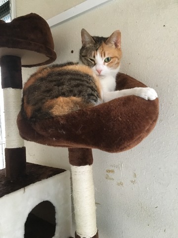 095A1602-ECC8-4A17-8EDD-76EC8798C033