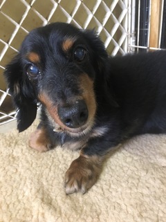 6D2F0BD8-51A1-4151-8F8D-6C114FF43DC7