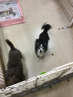 DFB8AABA-CF79-4D4F-AAA5-B68BD458BFAE