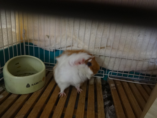 DSC02494