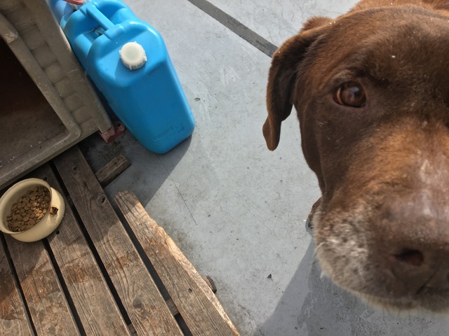 61886324-7A7F-4EBE-A9A4-D567C6F87CEE