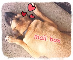 231F066F-0B15-4F11-82ED-C80F19DEFCBD