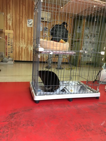 C5785818-F369-4A68-A95D-0A79BC69DCDD