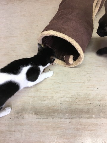 2390ED20-B87A-4D6B-9347-166FAF98B053