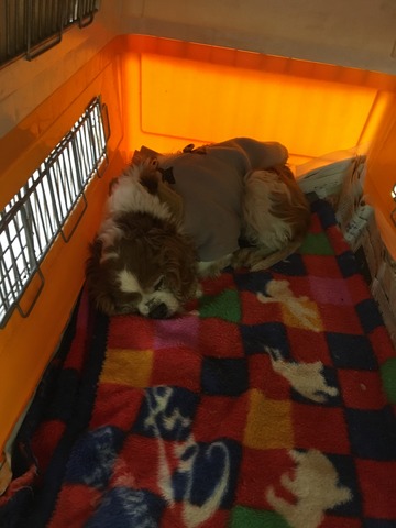 D419AD1B-ED33-4565-8DC5-2F781301BCDE