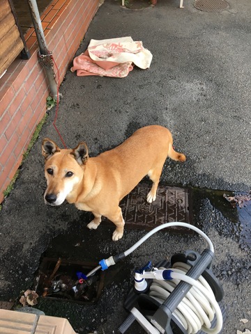 EE4426B1-E514-47DB-AC91-DD9B4AB3DAB3