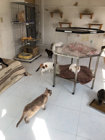 96A4C366-483D-425B-8698-2B3259E5469F