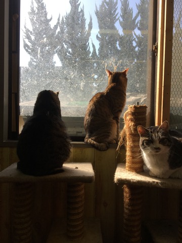 C01593A5-36A6-4639-9376-AD185F44CA03