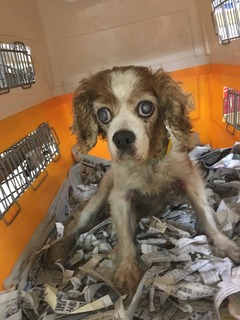 37EE22C8-B32C-43AA-B58A-B4D6B4533C17