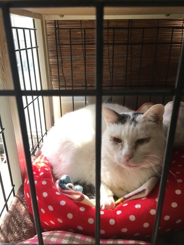 639EFE8A-AB2E-4E03-9838-E0F3367B415E