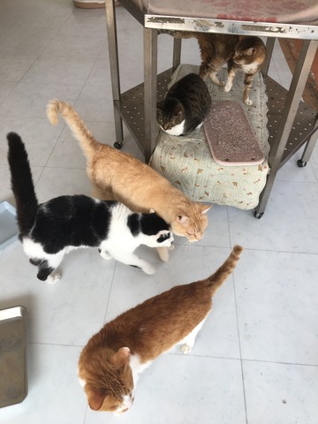 0B37C027-777B-4857-BC6C-70F45AFD034C