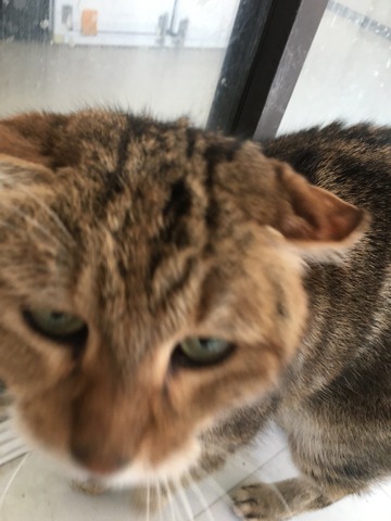 4D7C2F1C-800F-40CE-9D01-D43A3B13CB68