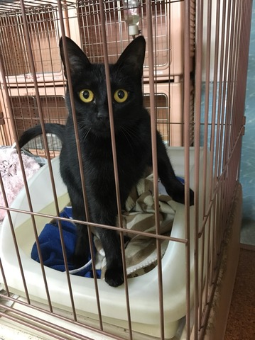 C2149FBD-476D-486B-8A8D-07490649B0A8