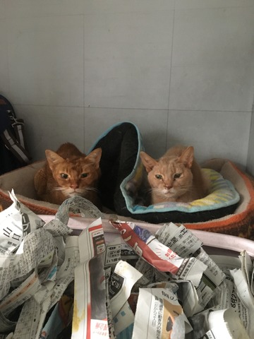 21314FA6-FBF6-4A34-92F9-0B2D0371ED7F