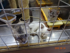DSC06050
