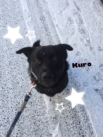 8122C6F8-3D41-4C70-B86D-EEF76113DCE5