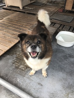 AA770A9F-23F4-4D4A-884C-19BE8DB77026