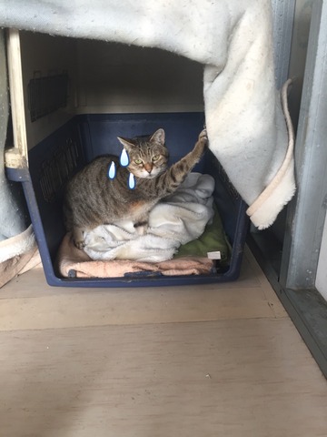 0D170D1F-9AA3-47FB-B170-AC0243D62644