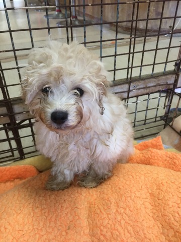 3A4949D2-EA55-496E-9F81-A209A82E0EA3