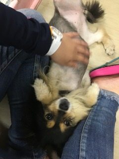 8F3EAA76-C2FF-47F6-AC9D-BB568B703335