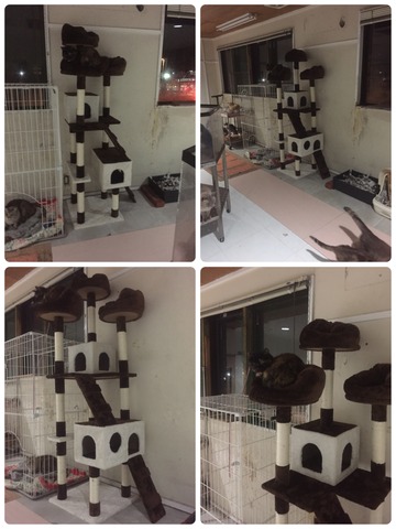 E1D066A5-C7F2-494E-BA4D-1AD70B3FB451