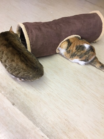 72F62141-F2A6-4DD2-92EC-EB01286EB09D