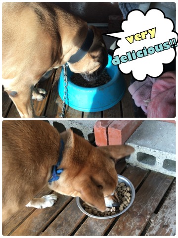 1FEC0A2F-ECCD-41E7-B9A3-27EEC9E9B22A