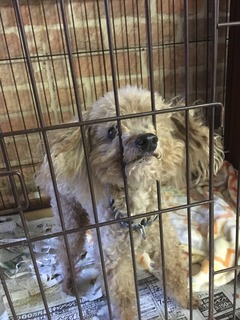 F6F2A1A6-9663-426C-9342-57CA3E3C7CE9