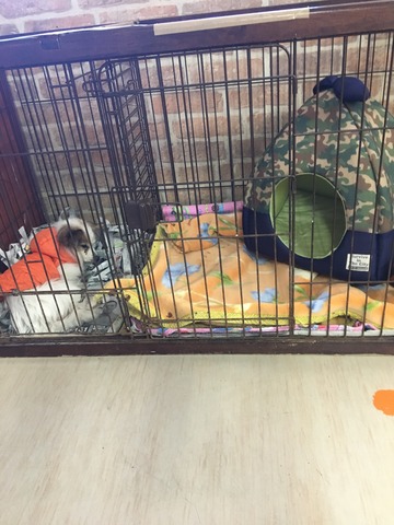 CF0842D6-5AF2-4DFE-A4B1-BBF7C32F80A1