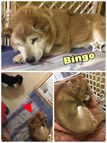 1493E296-5376-43E5-920B-69F70E5F8469