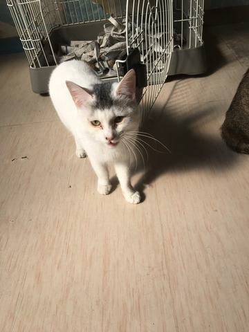 31051297-EBF9-48E5-BF05-1576975CC409