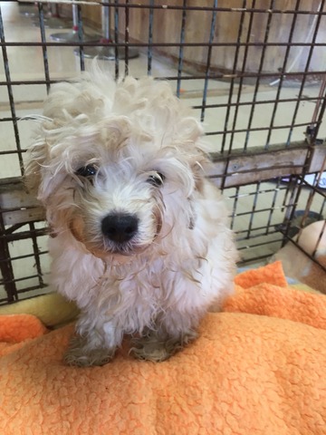 C75372CD-75D3-4111-ACCF-41A48B06D15A