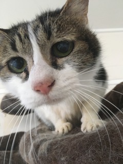 189A7CB7-C9DB-4F10-9D96-0CF3B35DDDA1