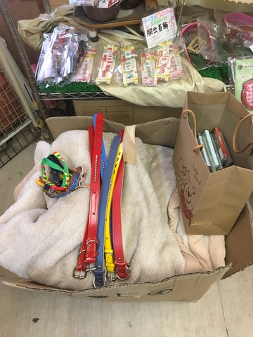 055119E8-92FD-412A-8789-5EC669D3064A