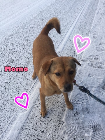 52C1F121-AC35-4ED7-A0B6-CE85C356C5F0