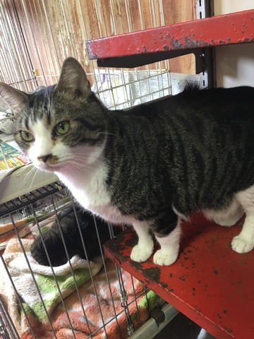 CE8DA17B-CBF7-4A95-97E1-A0EF9C54559C