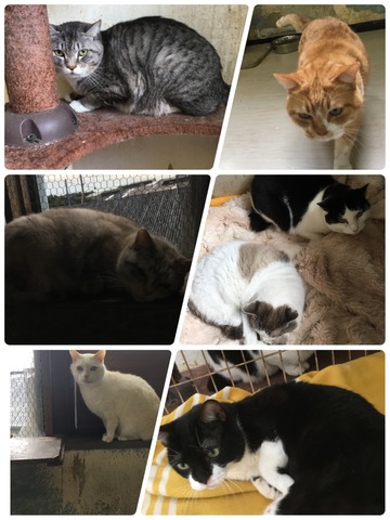 026AD73C-265E-4AFB-A437-27E6CFF350DD