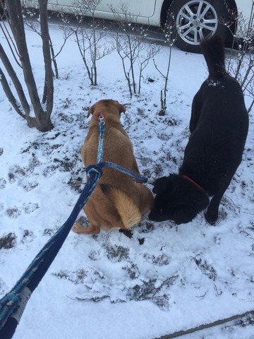 80655A24-FC25-457F-AD06-583EAA7D0B84